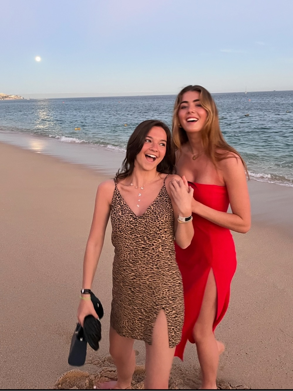 Reformation Leopard Print Slip Dress - Tan and Black